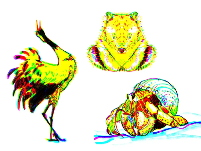 Drei expressive Tier-Illustrationen (Kranich, Bär, Einsiedlerkrebs) als Skizze mit digitalem Neon-Farbversatz (Cyan, Magenta, Gelb).
